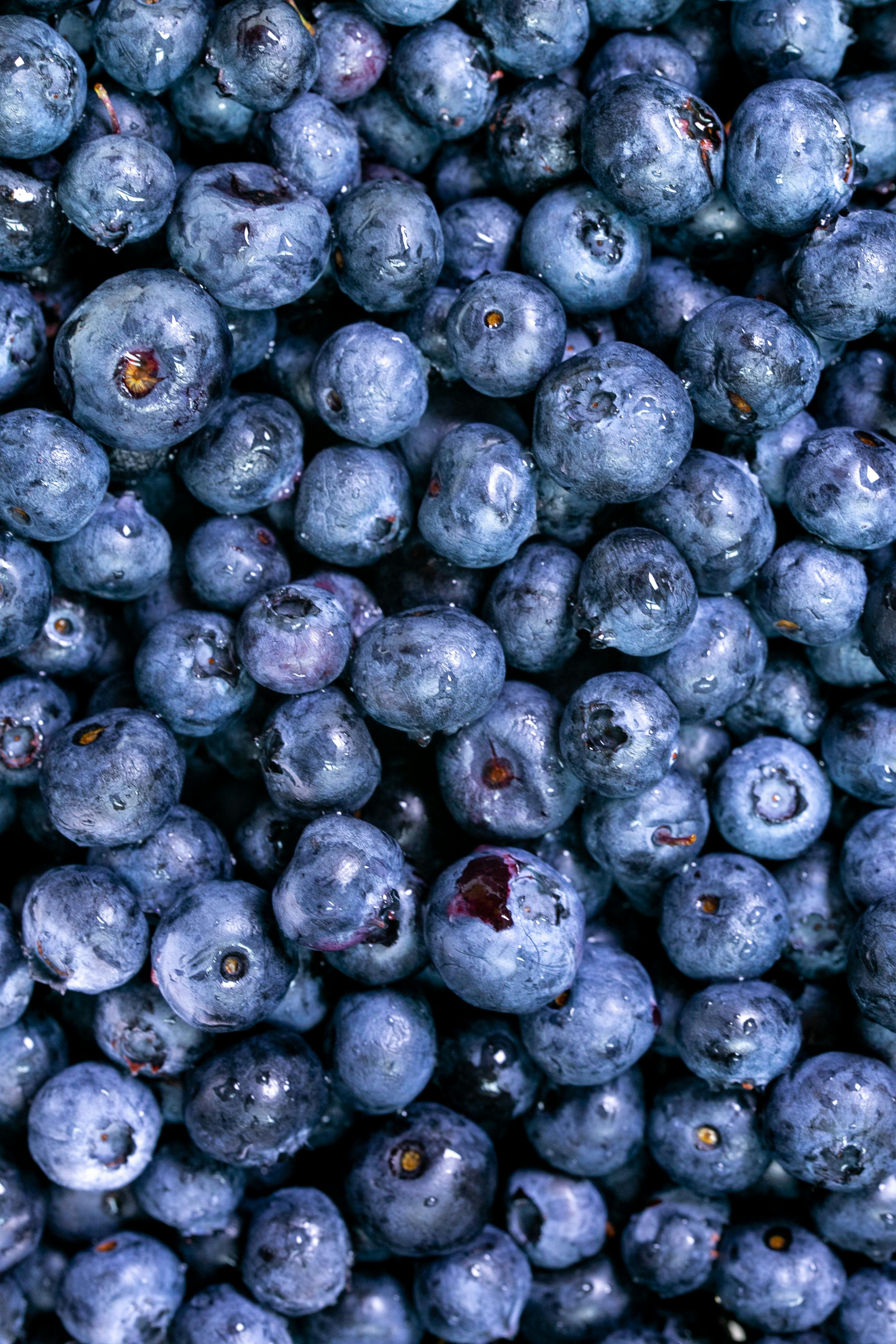 Frozen Blueberries