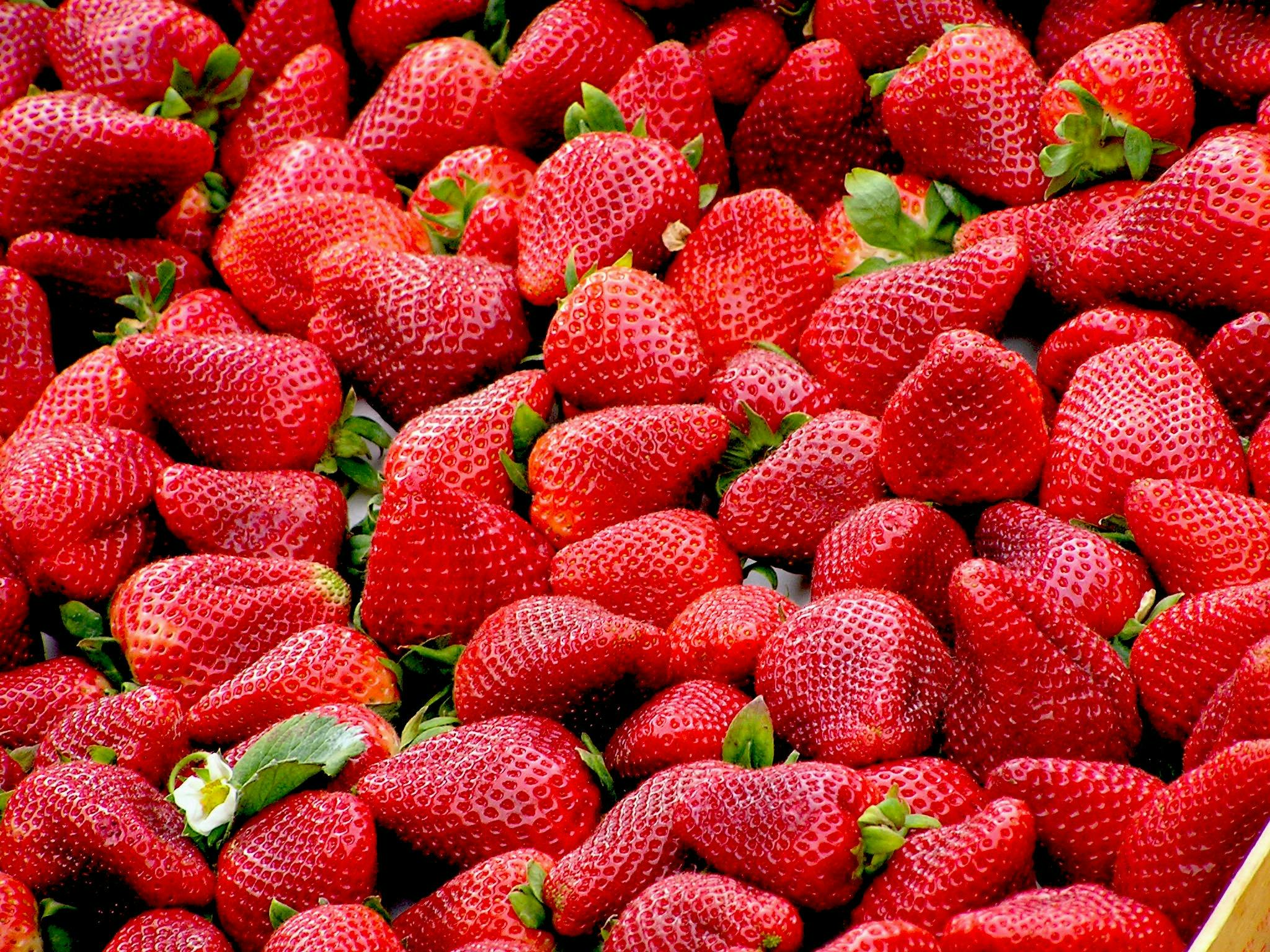 Frozen Strawberries